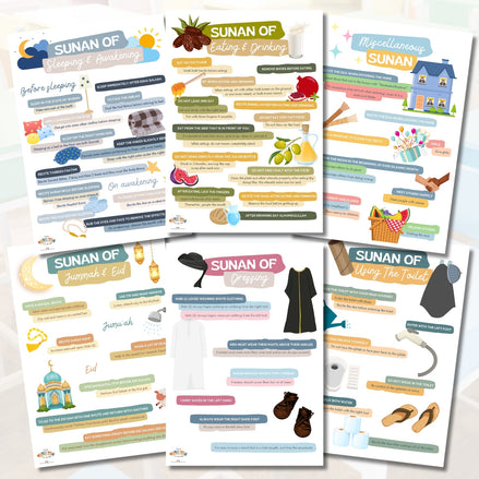 Sunan Chart A3 Chart Set